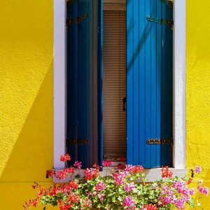 미니두두 버전2 네이비