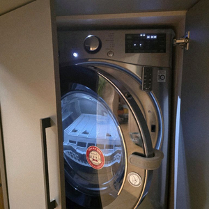 LG 트롬 14kg 건조기