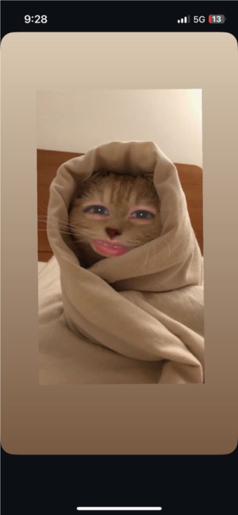 프로필 이미지