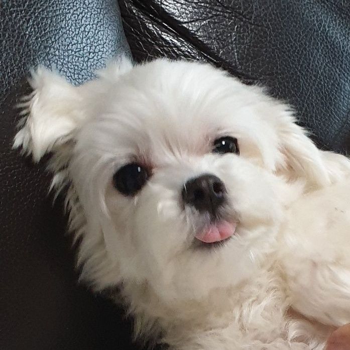 프로필 이미지