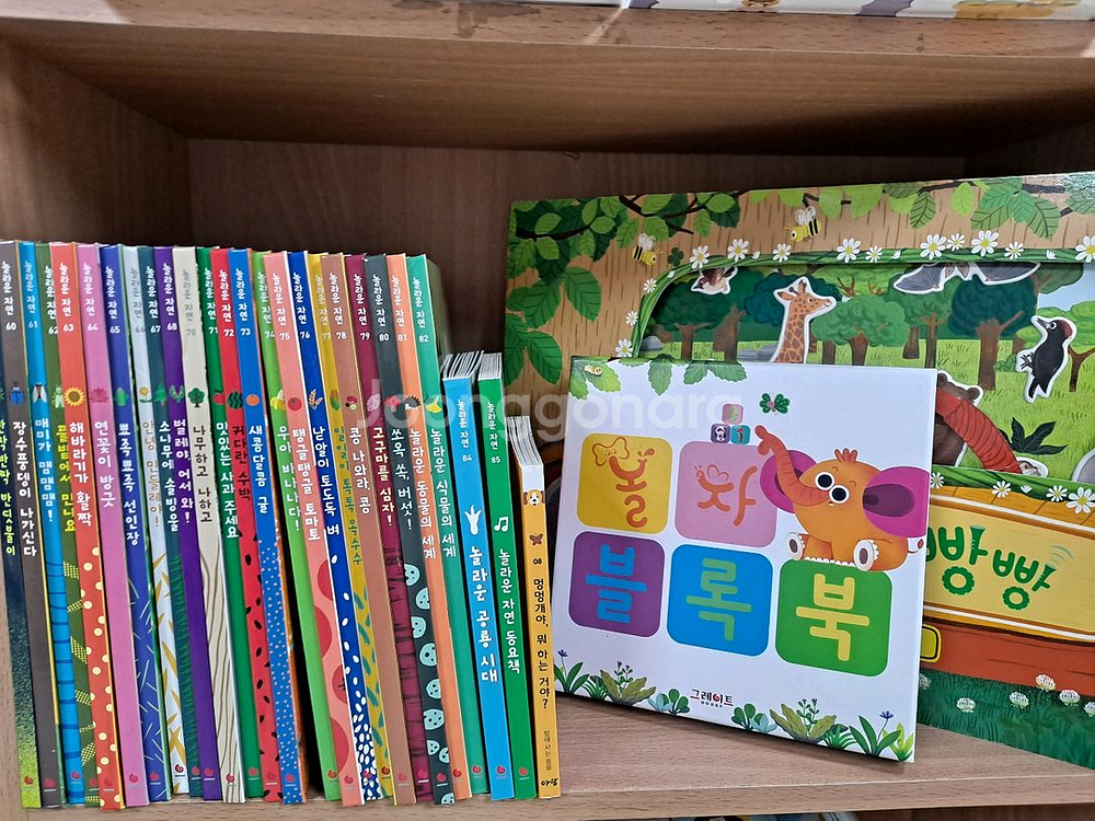 그레이트북스 놀라운자연 85권--1