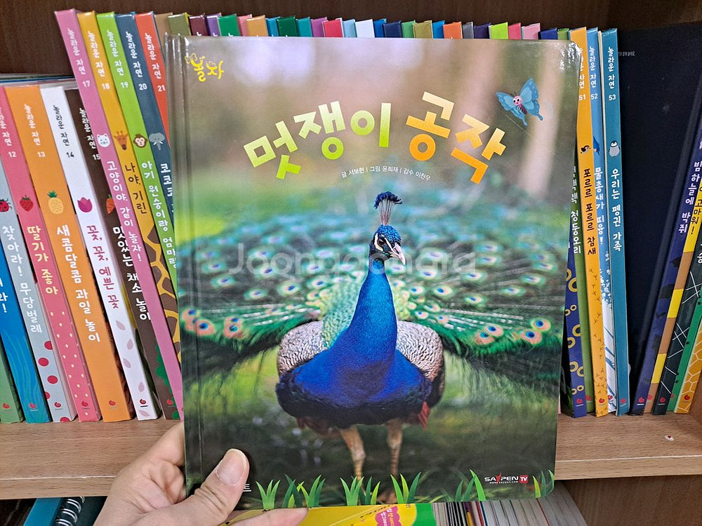 그레이트북스 놀라운자연 85권--2