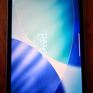 아이패드에어5세대 256GB 블루 wifi