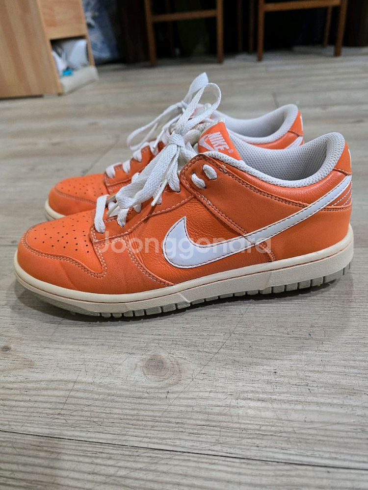 나이키골프 덩크 로우 골프화 245mm--0