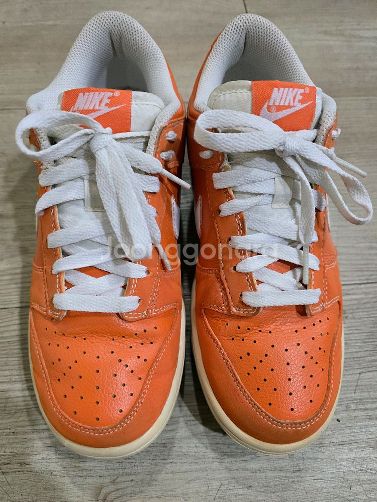 나이키골프 덩크 로우 골프화 245mm--1