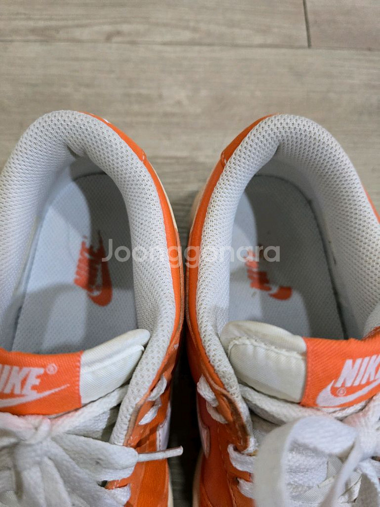 나이키골프 덩크 로우 골프화 245mm--2