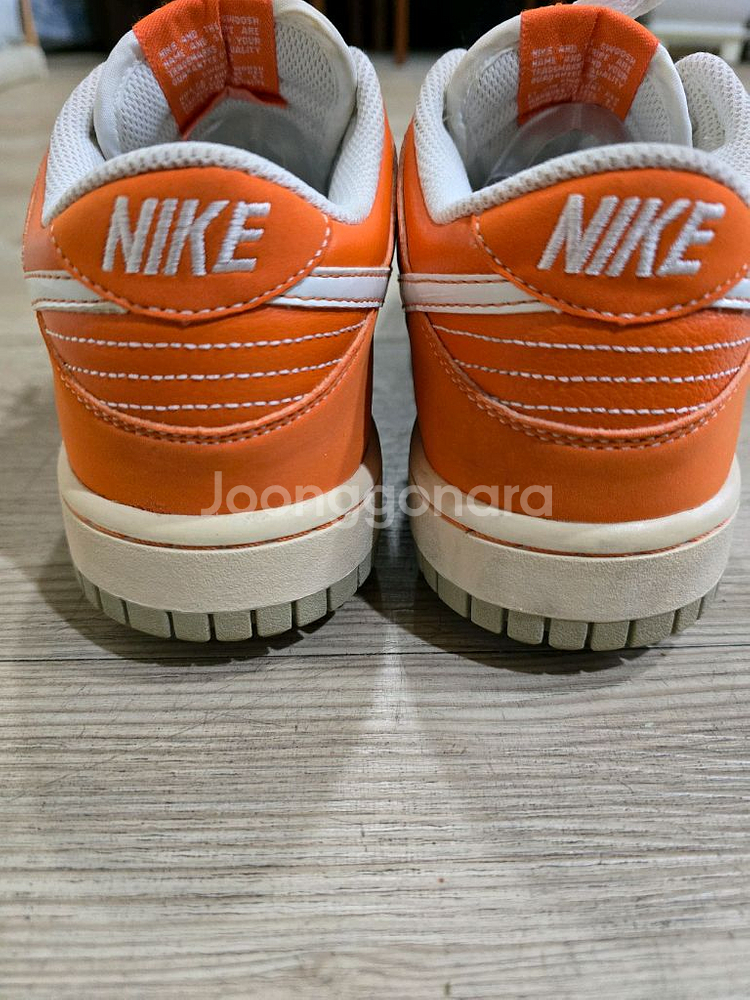 나이키골프 덩크 로우 골프화 245mm--3