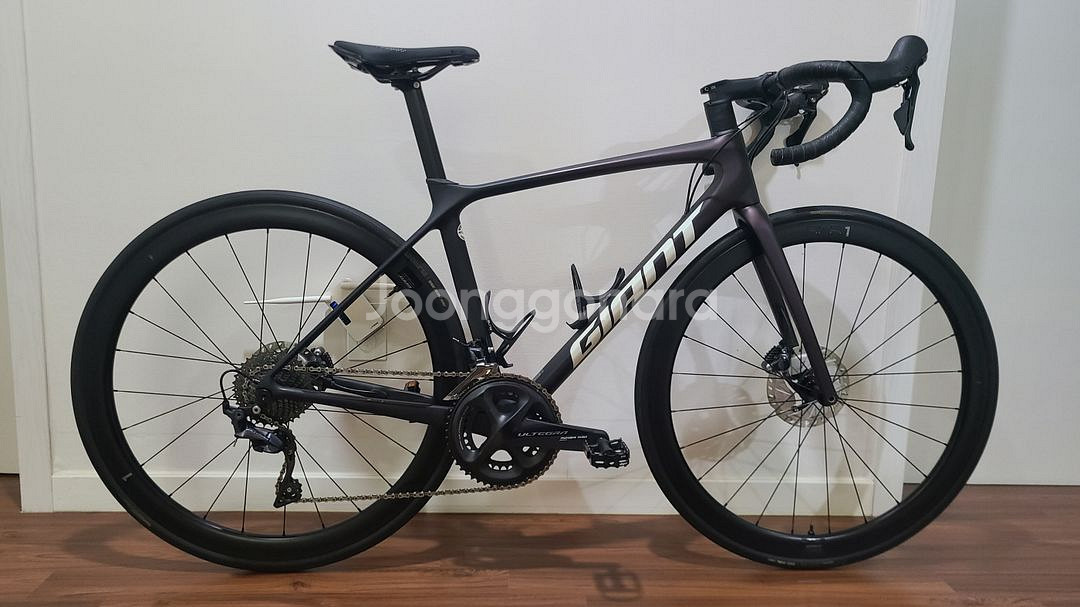 인하) 자이언트 TCR 어드밴스 프로 1 디스크 싸게 판매 상태좋음--0