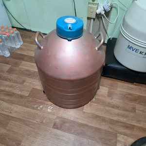 MVE 액체 질소통 47리터 판매합니다. 이미지