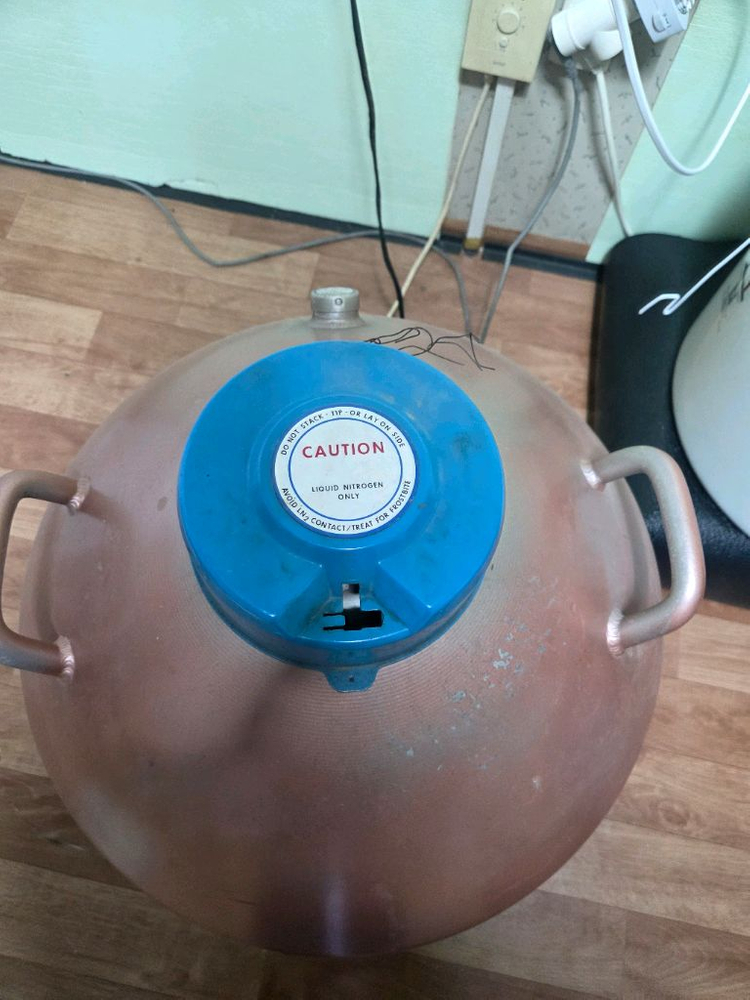 MVE 액체 질소통 47리터 판매합니다. 이미지