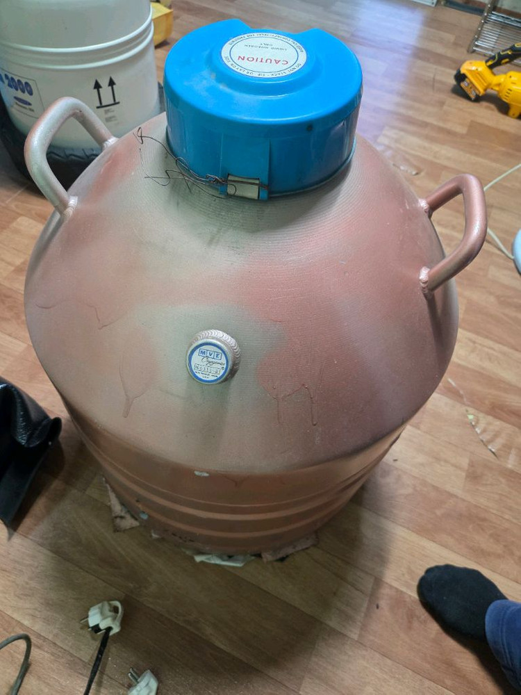 MVE 액체 질소통 47리터 판매합니다. 이미지