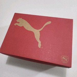 푸마 퓨쳐 플레이 축구화 남아[220]