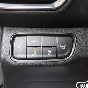 현대 싼타페 TM 디젤 2.0 2WD 익스클루시브 판매 합니다 !!!