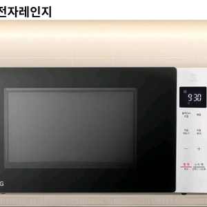 LG 디오스 전자레인지 20L