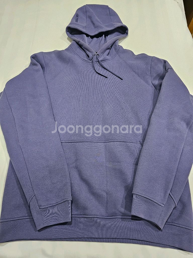 아크테릭스 엠블럼 플리스 후디 남성 L--1