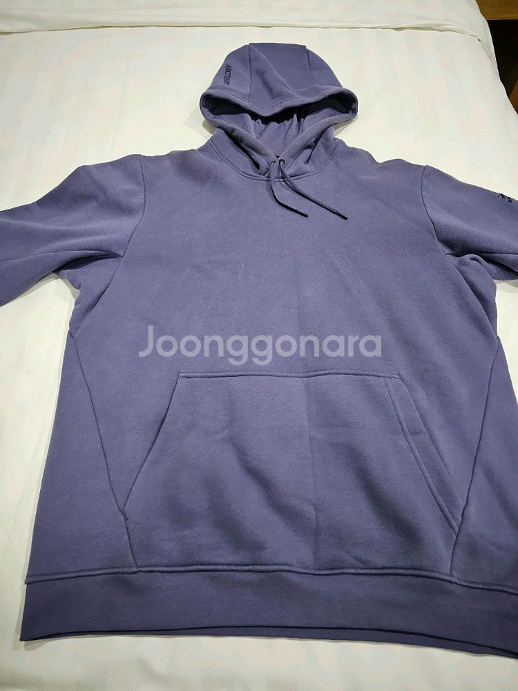 아크테릭스 엠블럼 플리스 후디 남성 L--2