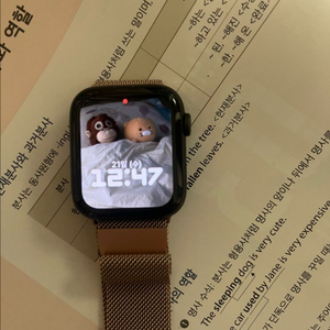 애플워치 se1 나이키에디션 44mm