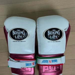 노복싱노라이프 10온스 말총글러브
