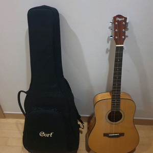 다이제스트(digest)D바디 기타