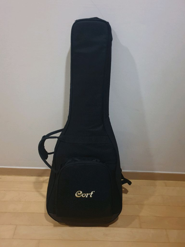 다이제스트(digest)D바디 기타--1