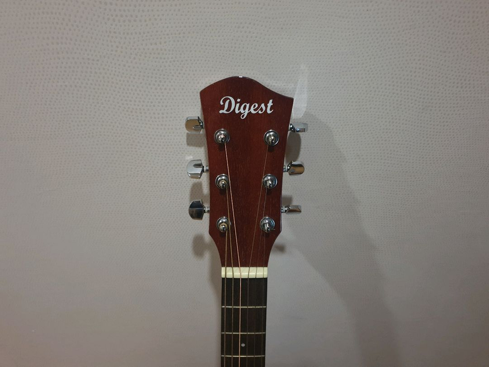 다이제스트(digest)D바디 기타--2