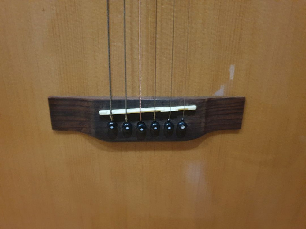 다이제스트(digest)D바디 기타--6