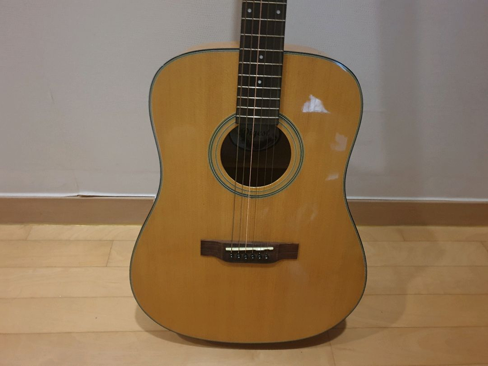 다이제스트(digest)D바디 기타--3