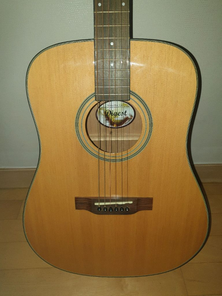 다이제스트(digest)D바디 기타--4