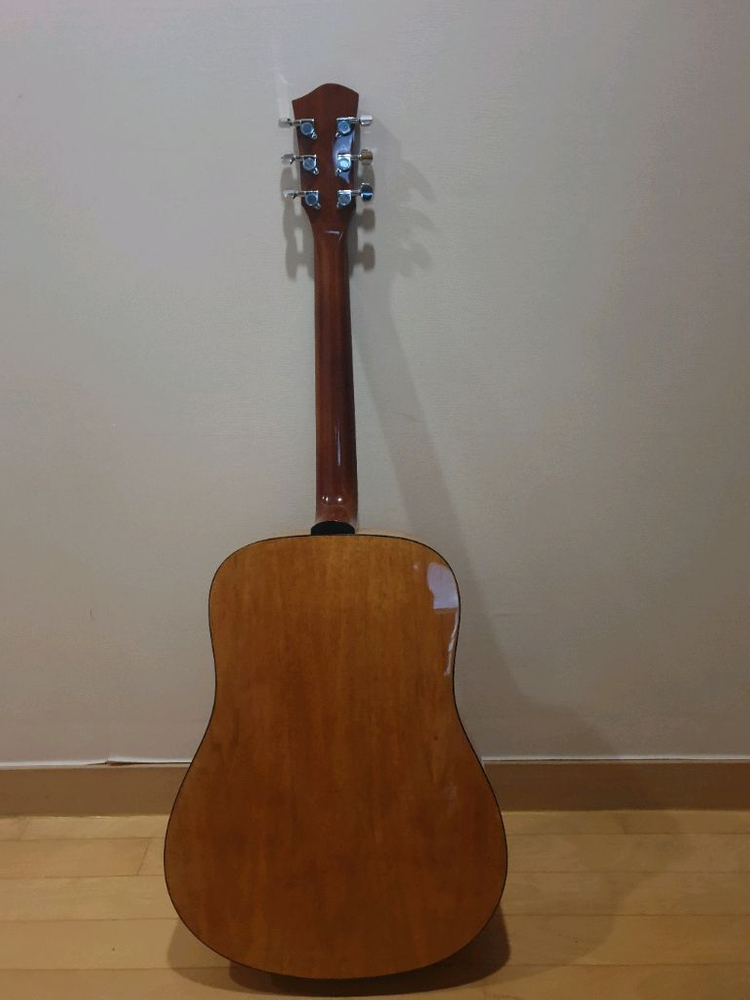 다이제스트(digest)D바디 기타--7