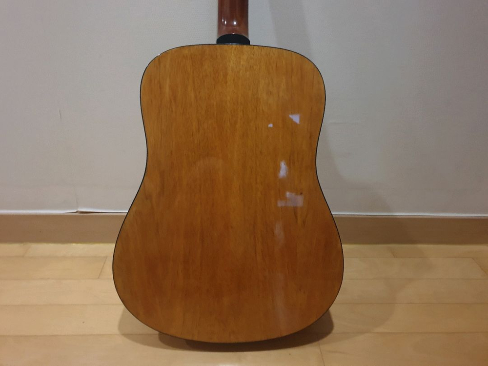 다이제스트(digest)D바디 기타--9