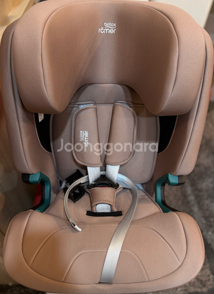 브라이텍스 베르사픽스 더스티로즈--0