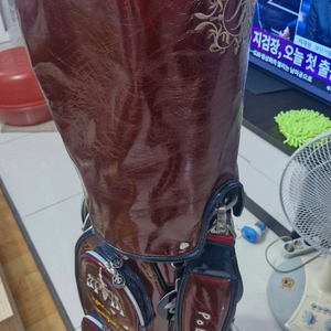 여성바퀴형 캐디백 고급형 사진5장