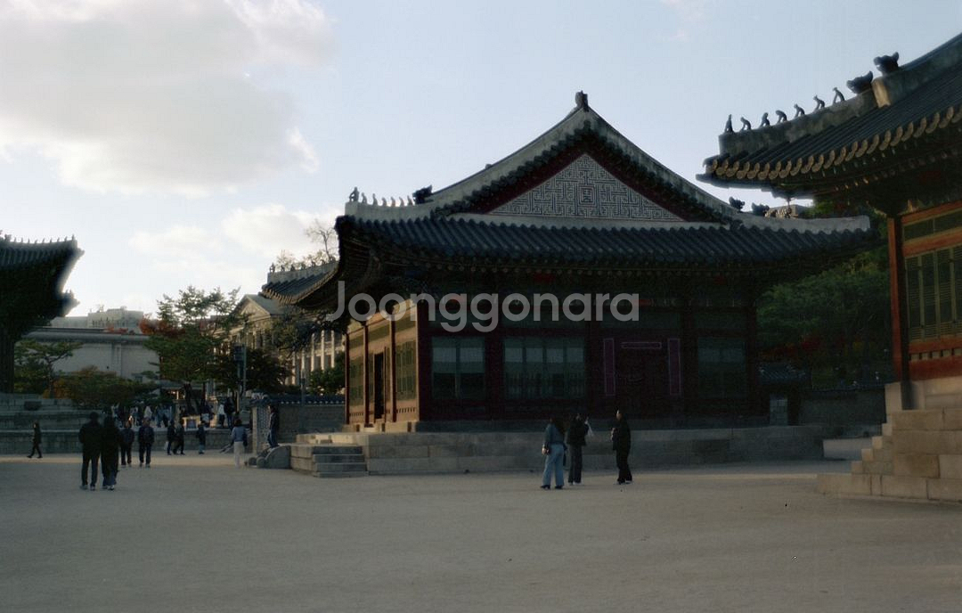 니콘 f401 필름카메라 - 탐론 28-70--1