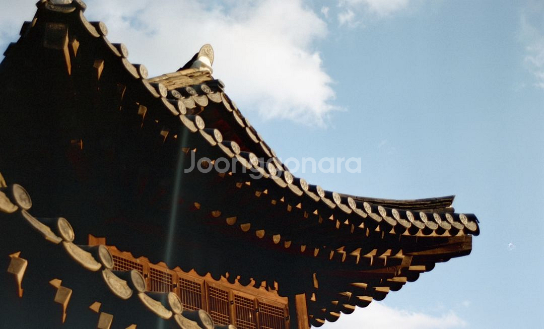 니콘 f401 필름카메라 - 탐론 28-70--4