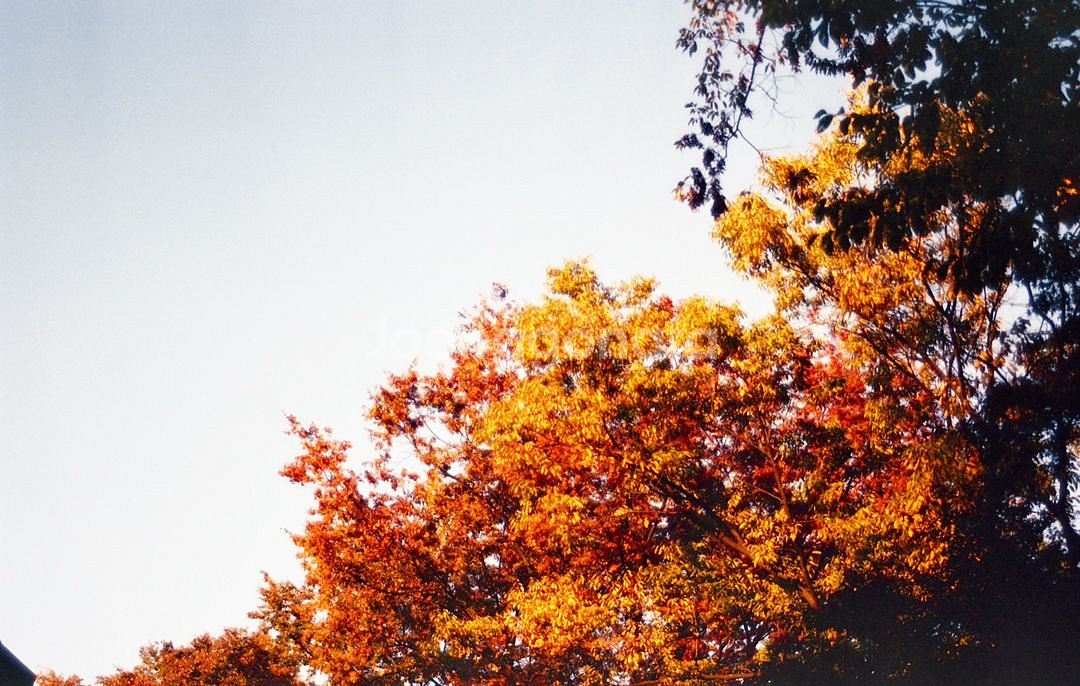 니콘 f401 필름카메라 - 탐론 28-70--3