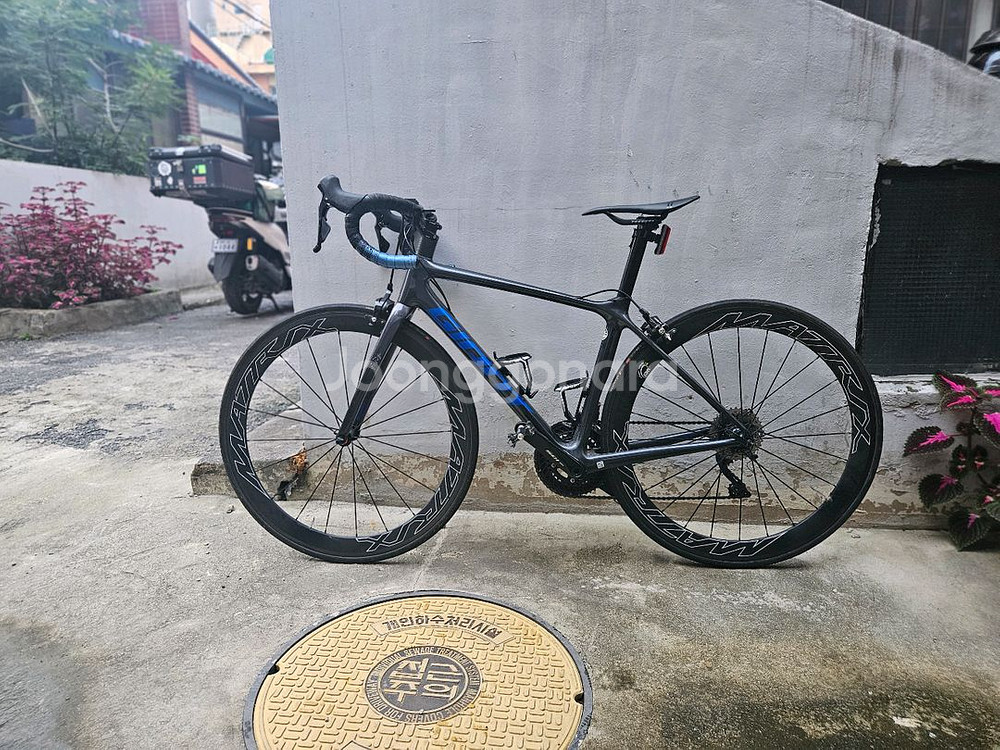 22년 자이언트 tcr 어드밴스2kom--6