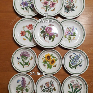 포트메리온 보타닉가든 접시 새상품 6개값