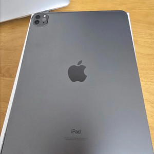 아이패드 프로 11 256기가 셀룰러