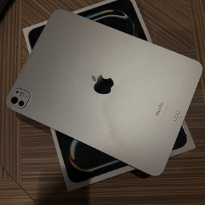 아이패드 프로 11인치 M4 256GB