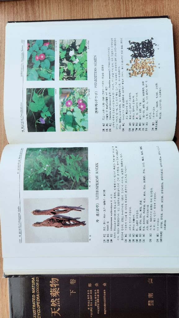 원색천연약물대사전 상ㆍ하권 한의대 약대전공 추천--4