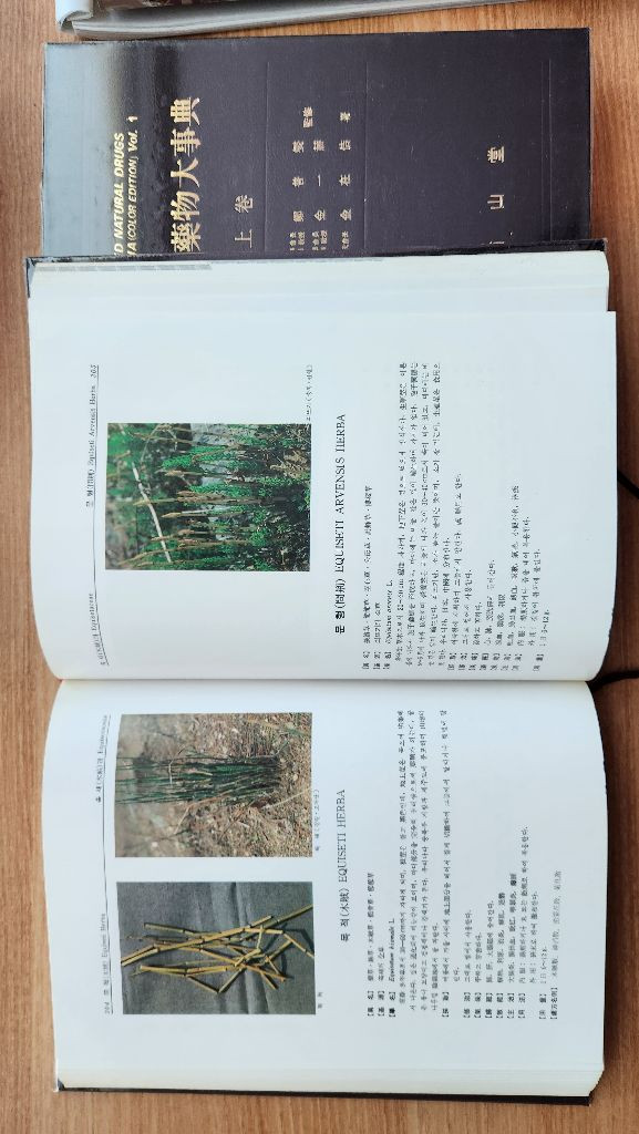 원색천연약물대사전 상ㆍ하권 한의대 약대전공 추천--5