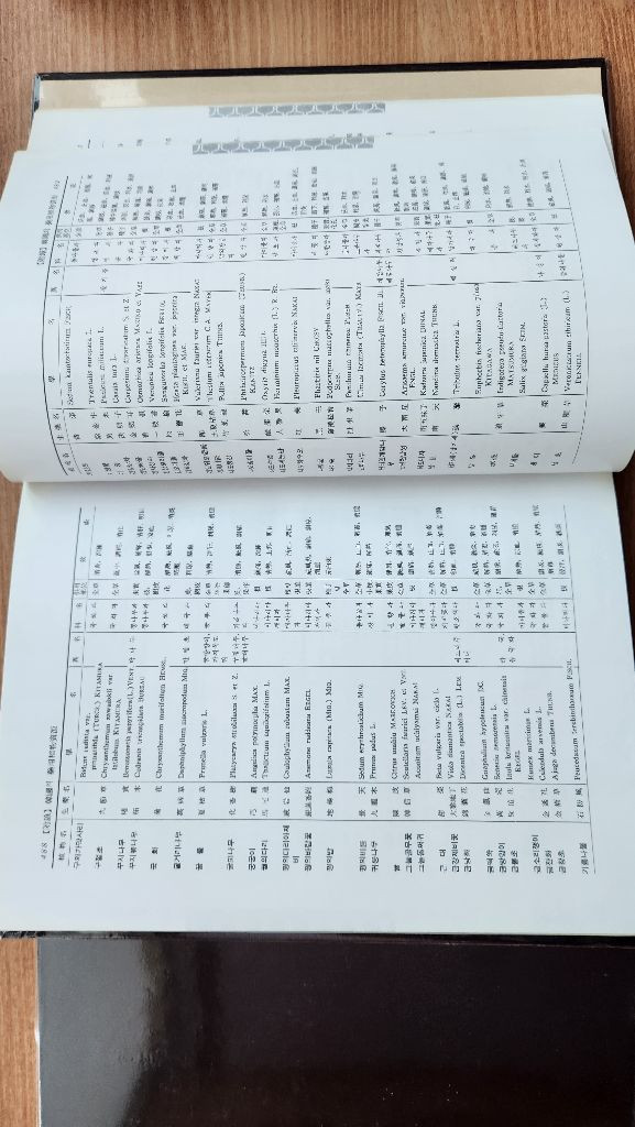 원색천연약물대사전 상ㆍ하권 한의대 약대전공 추천--7