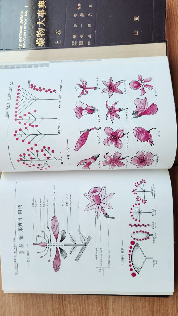 원색천연약물대사전 상ㆍ하권 한의대 약대전공 추천--6