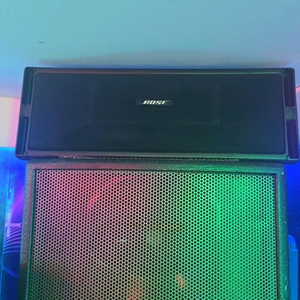 보스 402 8옴스피커