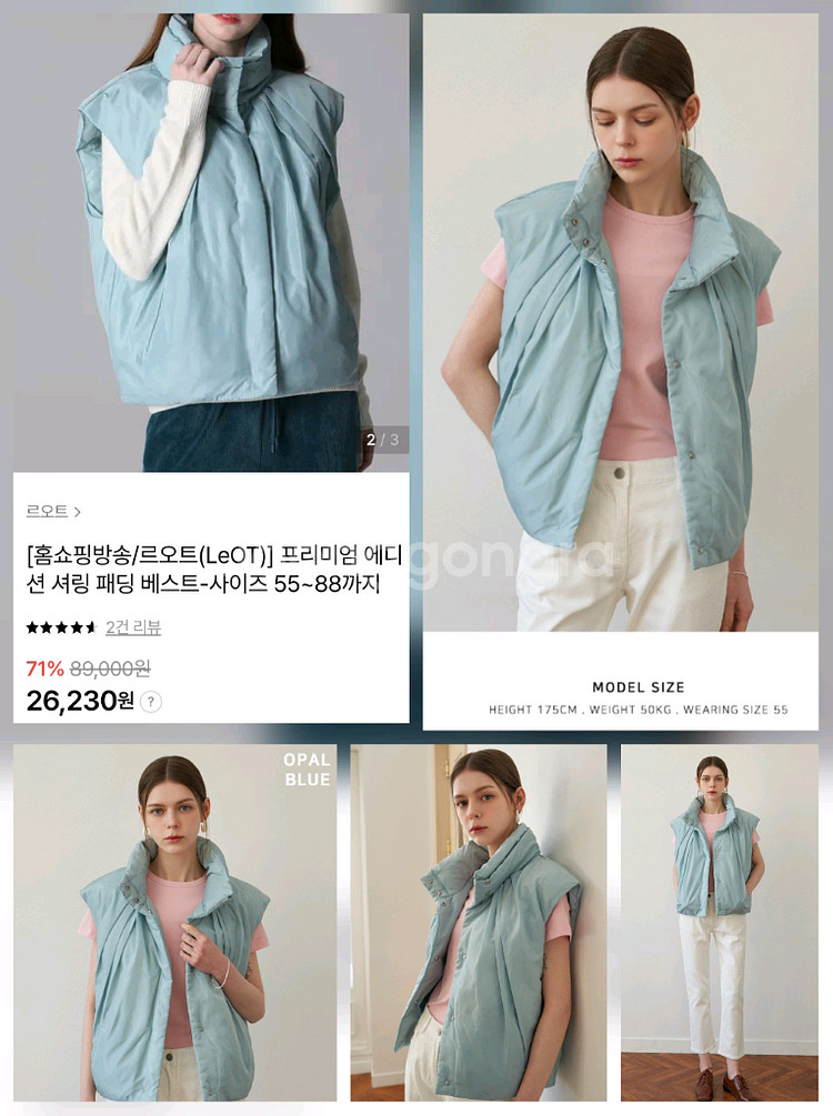 LAP 덕다운 베스트 & 리오트 구스다운 베스트 (66~77사이즈)--6