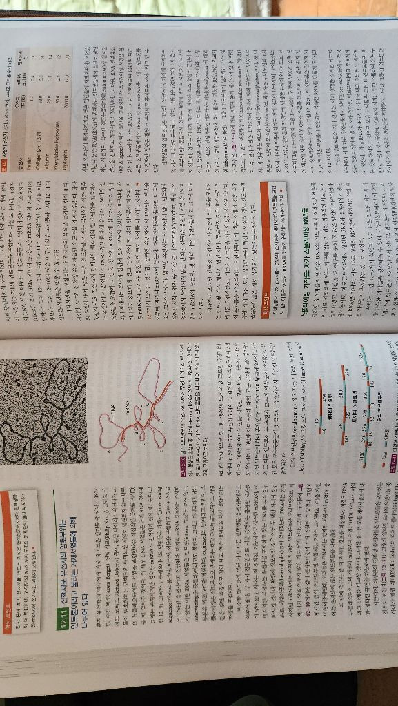 핵심 유전학 9판 Prescott의 미생물학--4