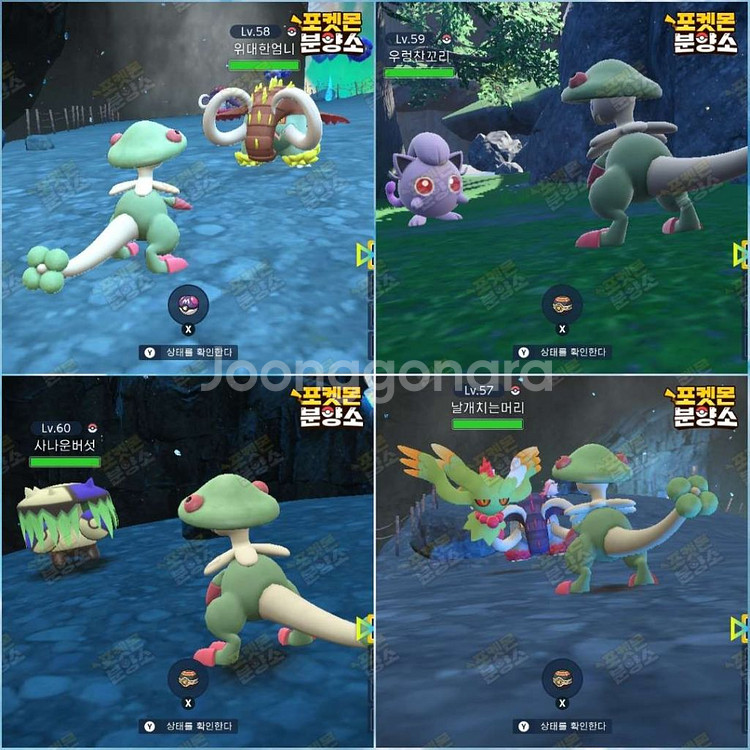 이로치 패러독스 / 스칼렛 바이올렛 / 닌텐도 스위치--0