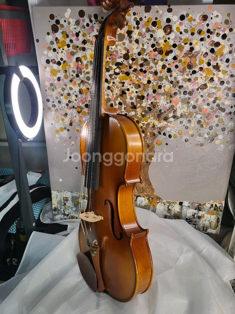 입문용 바이올린 4/4 풀세트, 고급현--1