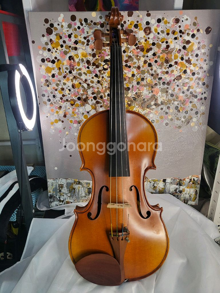 입문용 바이올린 4/4 풀세트, 고급현--0