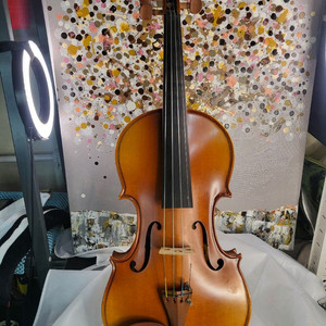 입문용 바이올린 4/4 풀세트, 고급현